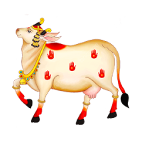 cow